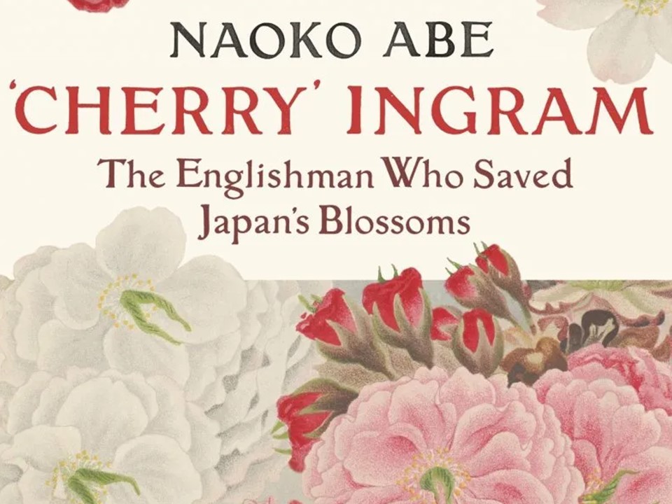 แนะนำหนังสือ The Sakura Obsession เรียนรู้ประวัติศาสตร์ผ่านดอกซากุระ
